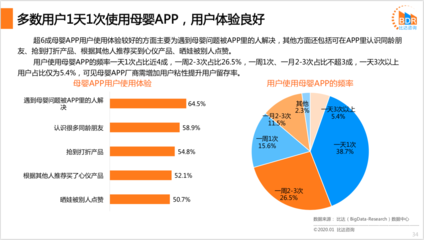 比达咨询:《2019年度中国互联网母婴市场研究报告》(PPT)
