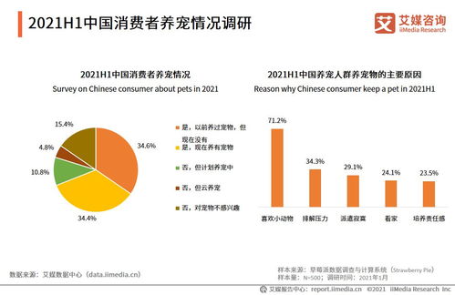 艾媒咨询 2021年上半年中国宠物经济产业发展现状与市场调研分析报告